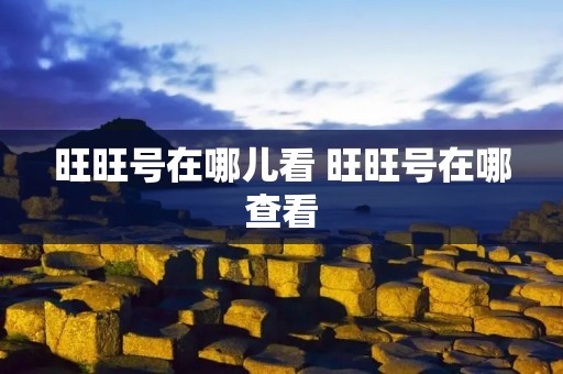 旺旺号在哪儿看 旺旺号在哪查看