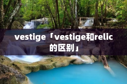 vestige「vestige和relic的区别」