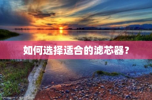 如何选择适合的滤芯器? 如何选择适合的滤芯器?
