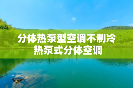 分体热泵型空调不制冷 热泵式分体空调