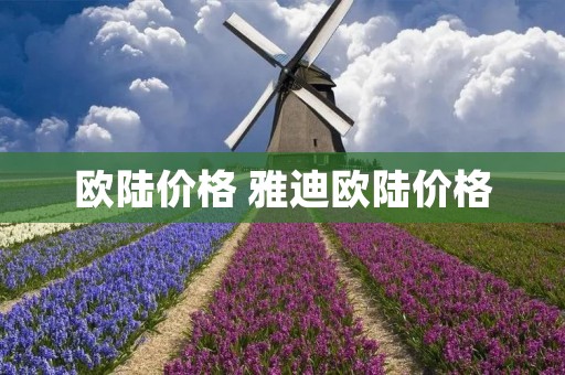 欧陆价格 雅迪欧陆价格
