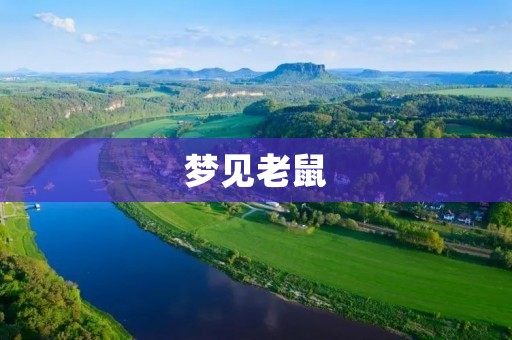梦见老鼠:预示什么?
