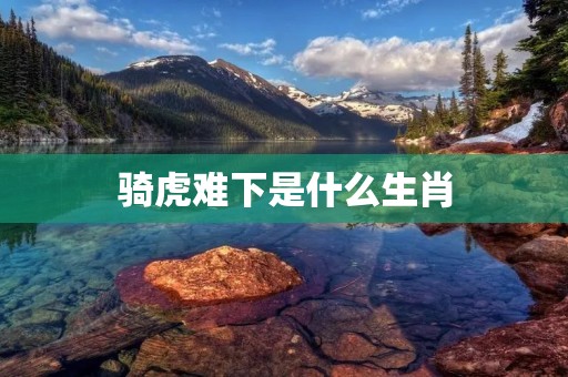 骑虎难下是什么生肖