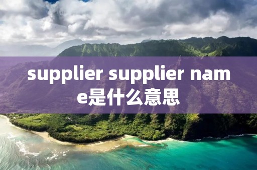 supplier supplier name是什么意思