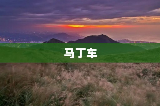 马丁车:英伦风情的代表 马丁车:英伦风情的代表
