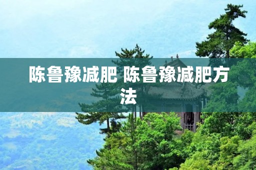 陈鲁豫减肥 陈鲁豫减肥方法