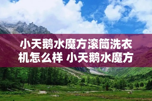 小天鹅水魔方滚筒洗衣机怎么样 小天鹅水魔方洗衣机优缺点