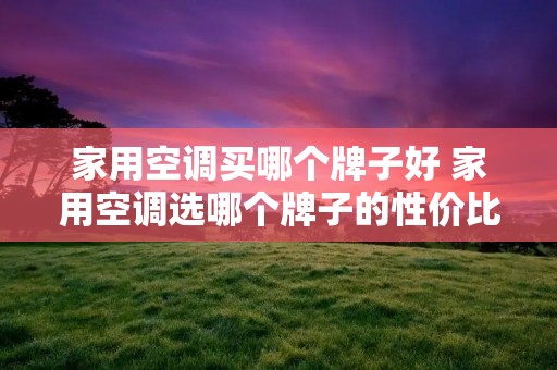家用空调买哪个牌子好 家用空调选哪个牌子的性价比高 家用空调买哪个牌子好 家用空调选哪个牌子的性价比高