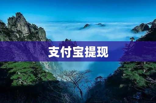 支付宝提现：详解支付宝提现步骤及注意事项