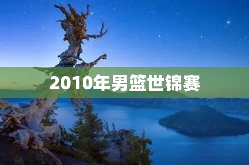2010年男篮世锦赛:中国男篮的挑战与突破 2010年男篮世锦赛:中国男篮的挑战与突破