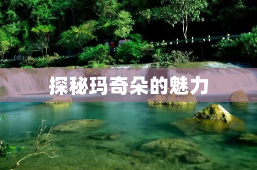 探秘玛奇朵的魅力