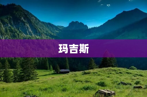 玛吉斯：全球领先的创新化工公司