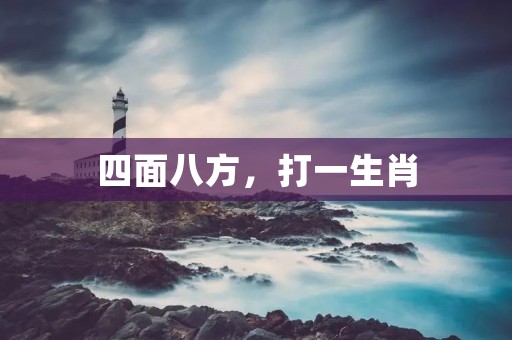 四面八方,打一生肖