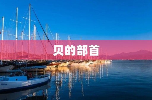 贝的部首