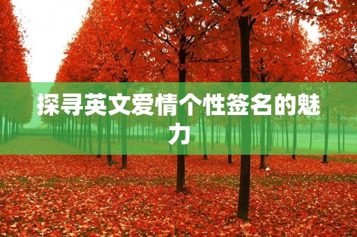 探寻英文爱情个性签名的魅力