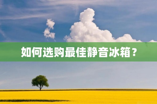 如何选购最佳静音冰箱？