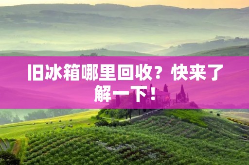旧冰箱哪里回收?快来了解一下! 旧冰箱哪里回收?快来了解一下!
