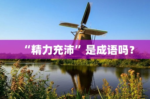 “精力充沛”是成语吗？