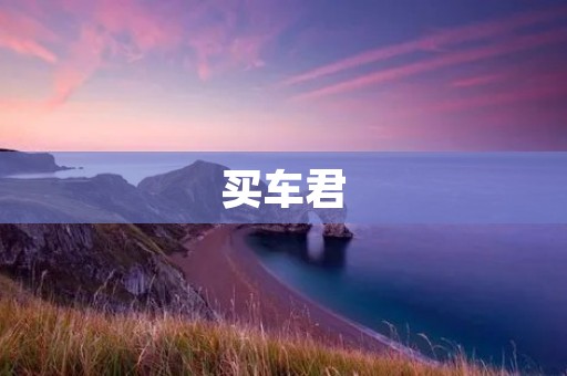 买车君：帮你轻松买车的好帮手