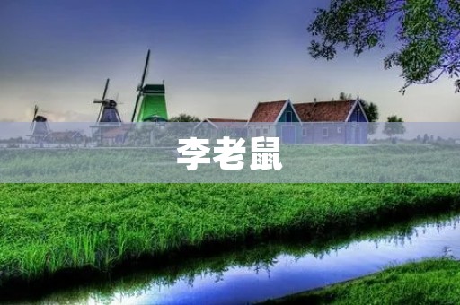 李老鼠:一个有趣的动物朋友 李老鼠:一个有趣的动物朋友