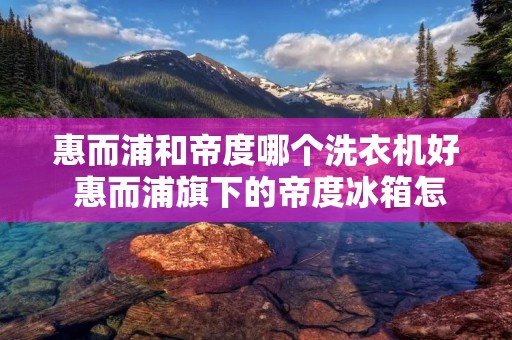 惠而浦和帝度哪个洗衣机好 惠而浦旗下的帝度冰箱怎么样
