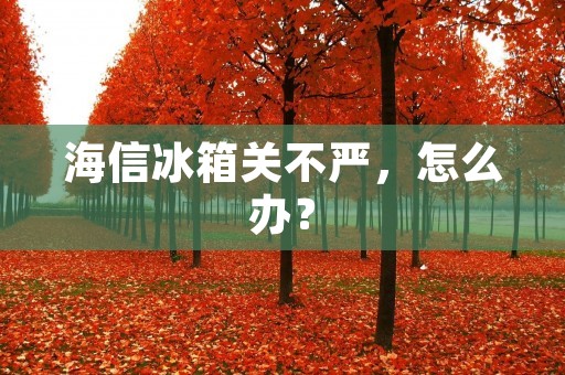 海信冰箱关不严，怎么办？