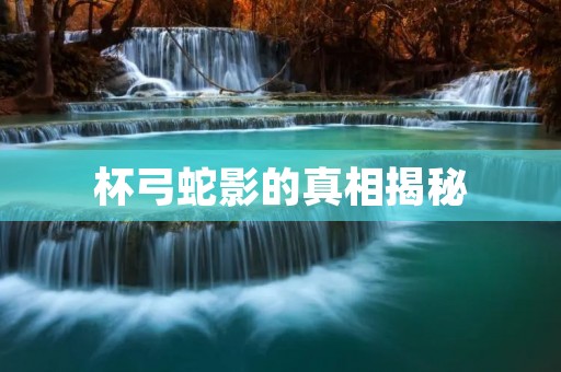 杯弓蛇影的真相揭秘