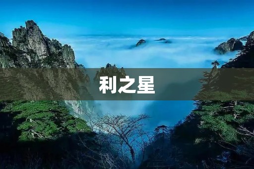 利之星:让您的财富增值之路更加畅通 利之星:让您的财富增值之路更加畅通