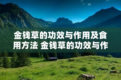 金钱草的功效与作用及食用方法 金钱草的功效与作用及食用方法一般过敏有哪些症状