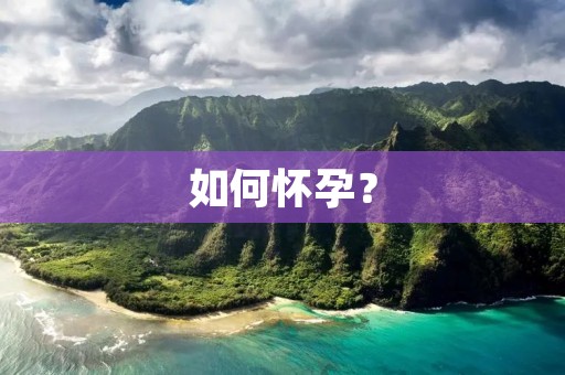 如何怀孕? 如何怀孕?