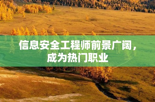 信息安全工程师前景广阔，成为热门职业