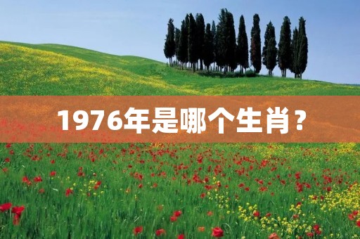 1976年是哪个生肖？