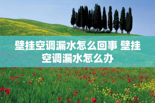 壁挂空调漏水怎么回事 壁挂空调漏水怎么办