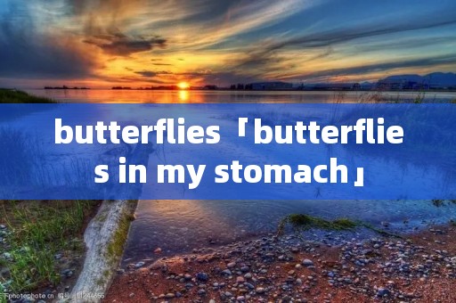butterflies「butterflies in my stomach」