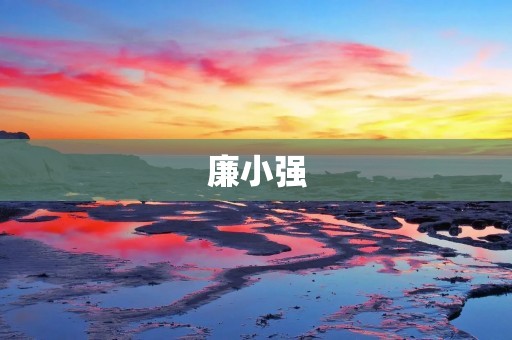 廉小强:中国反腐斗士的传奇 廉小强:中国反腐斗士的传奇