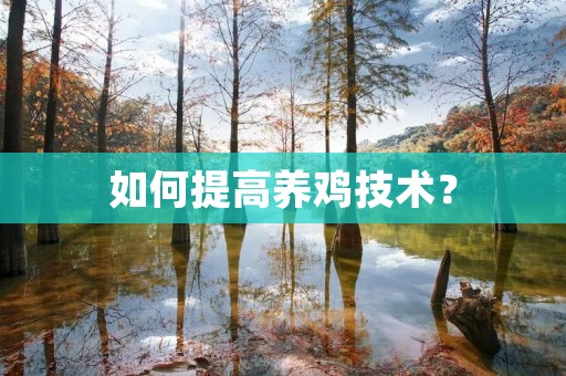 如何提高养鸡技术？