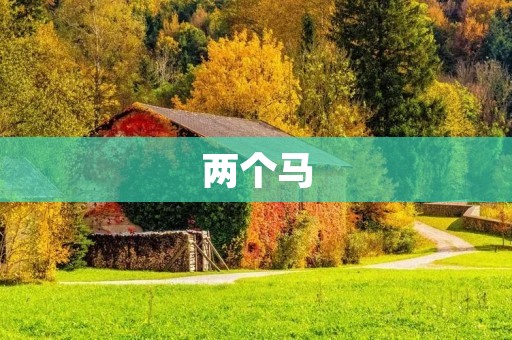 两个马：一场关于友谊的故事