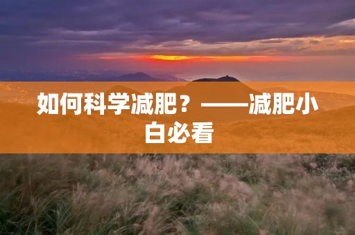 如何科学减肥？——减肥小白必看