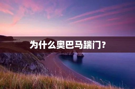 为什么奥巴马踹门？