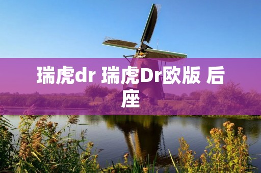 瑞虎dr 瑞虎Dr欧版 后座