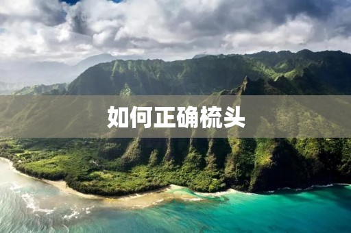如何正确梳头:让你的发型更加完美 如何正确梳头:让你的发型更加完美