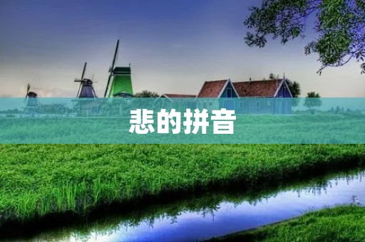 悲的拼音 悲的拼音