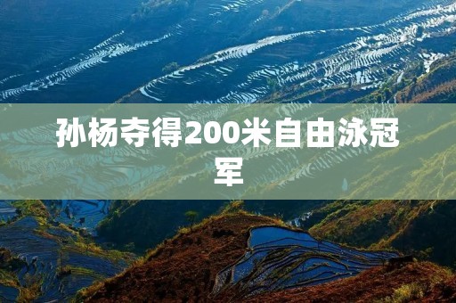 孙杨夺得200米自由泳冠军