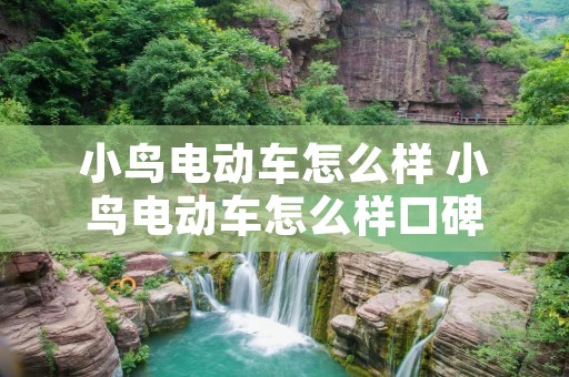 小鸟电动车怎么样 小鸟电动车怎么样口碑