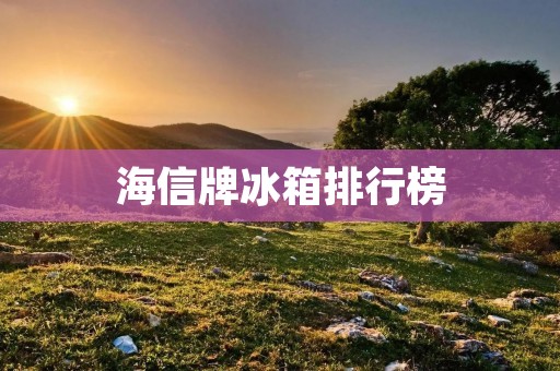 海信牌冰箱排行榜：2021年最受欢迎的海信冰箱推荐