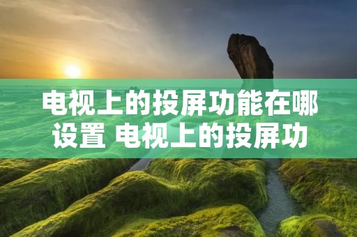 电视上的投屏功能在哪设置 电视上的投屏功能怎么开启