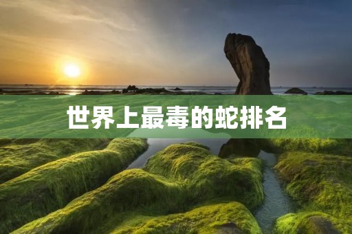 世界上最毒的蛇排名