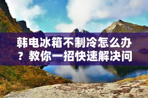 韩电冰箱不制冷怎么办？教你一招快速解决问题！
