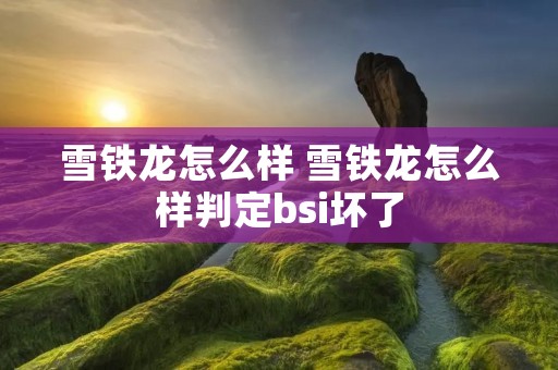 雪铁龙怎么样 雪铁龙怎么样判定bsi坏了 雪铁龙怎么样 雪铁龙怎么样判定bsi坏了