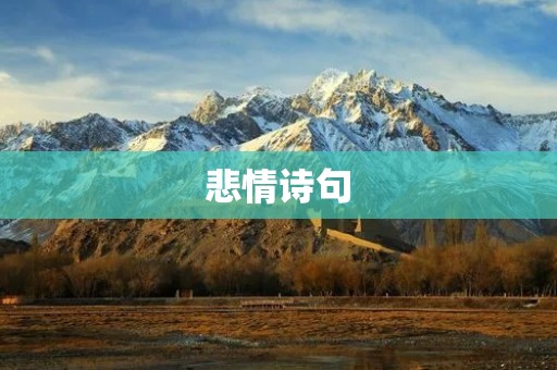 悲情诗句:拼凑着我心中的伤痕 悲情诗句:拼凑着我心中的伤痕